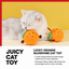 Orange silvervine cat toy source detail 01 - English translated corrected 1:1