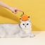 Orange silvervine cat toy source detail 06 - corrected 1:1