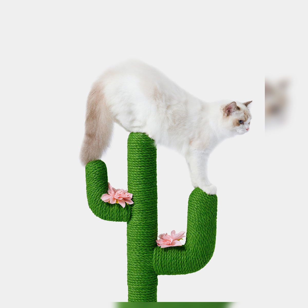 Revised | VETRESKA Oasis Cactus Cat Tree | 31 in / 80 cm | source image 03 | FULL_FRAME_OUTPAINT | complete square