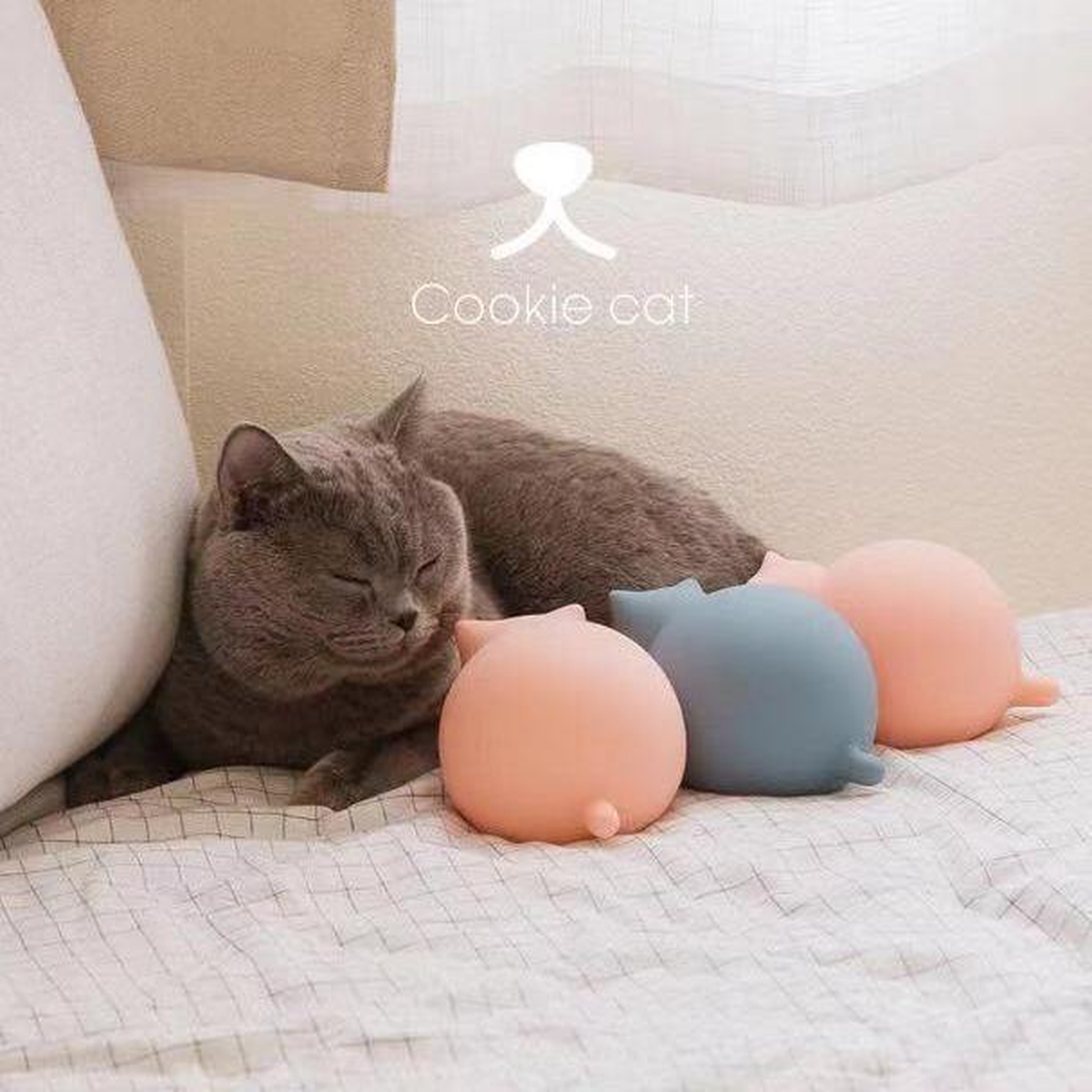 Cat resting beside silicone cat-shaped water bags