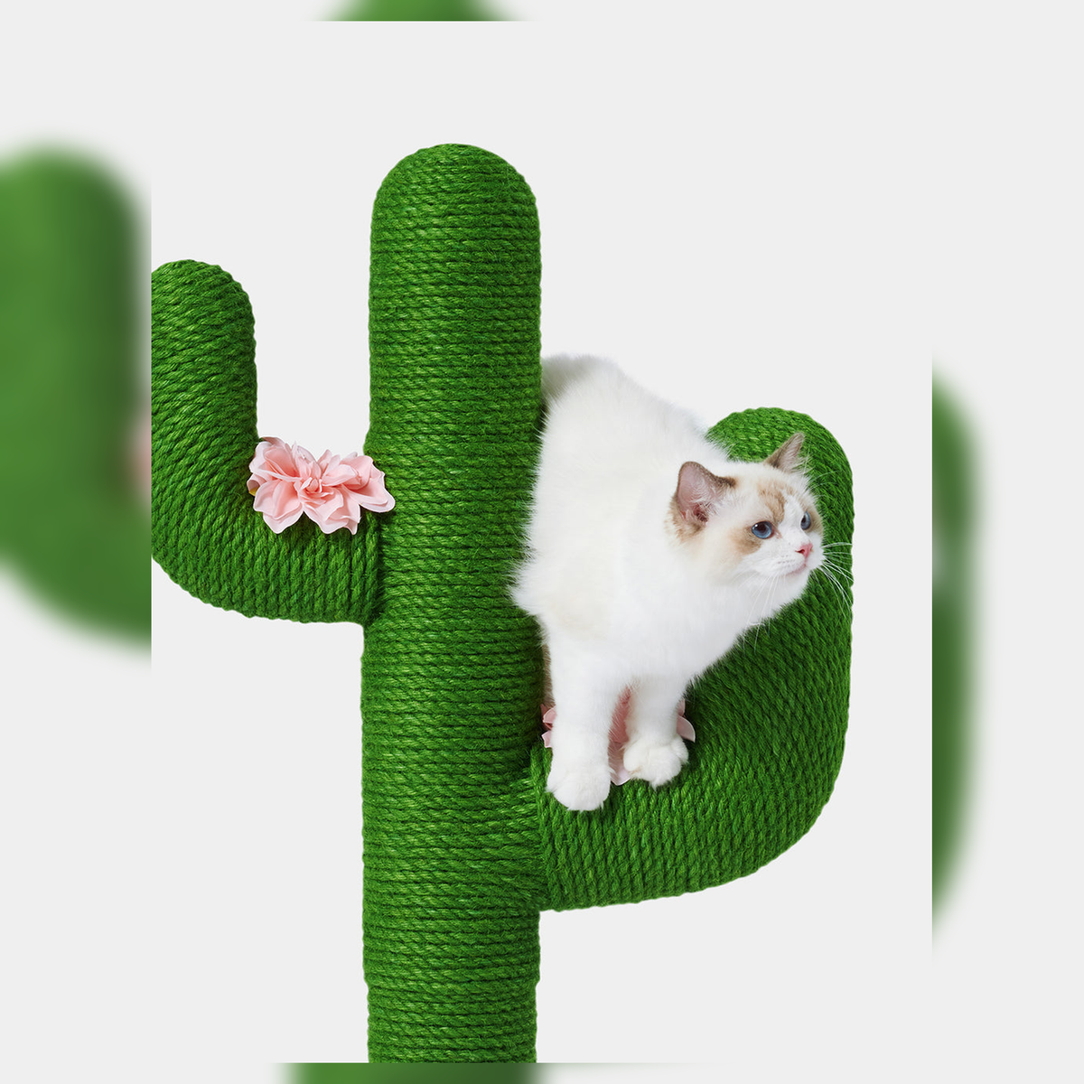 Revised | VETRESKA Oasis Cactus Cat Tree | 41 in / 105 cm | source image 04 | FULL_FRAME_OUTPAINT | complete square