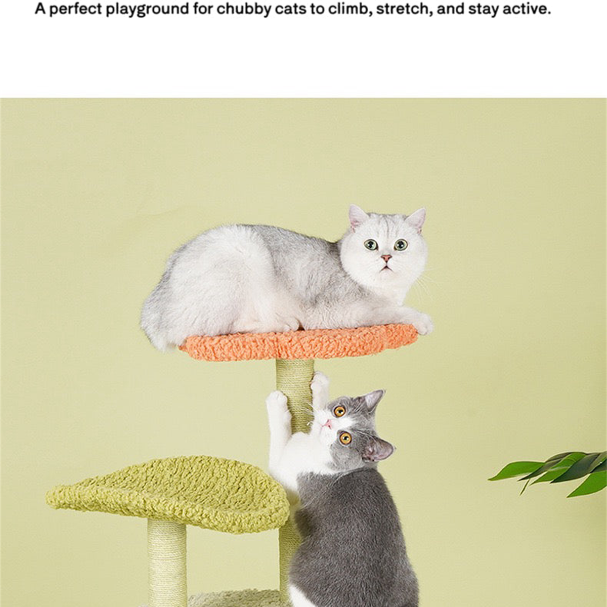 SUPERSEDED | Revised | ZEZE Aidola Flower House Cat Tree | gallery image 04 | square source text preserved