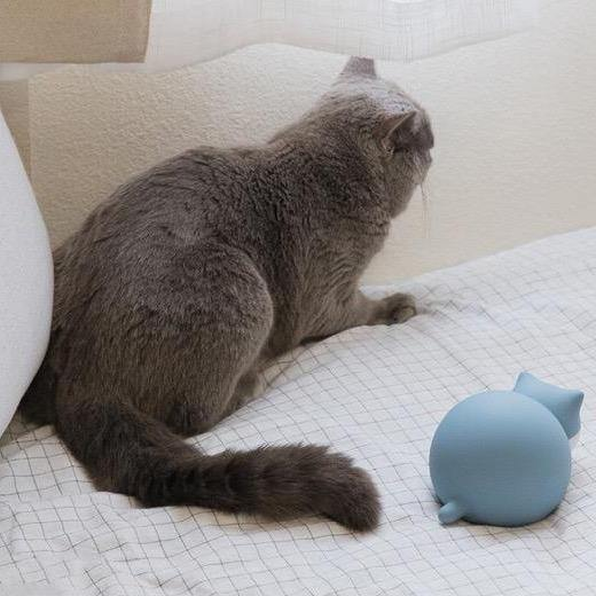 Cat beside a Blue silicone cat-shaped water bag