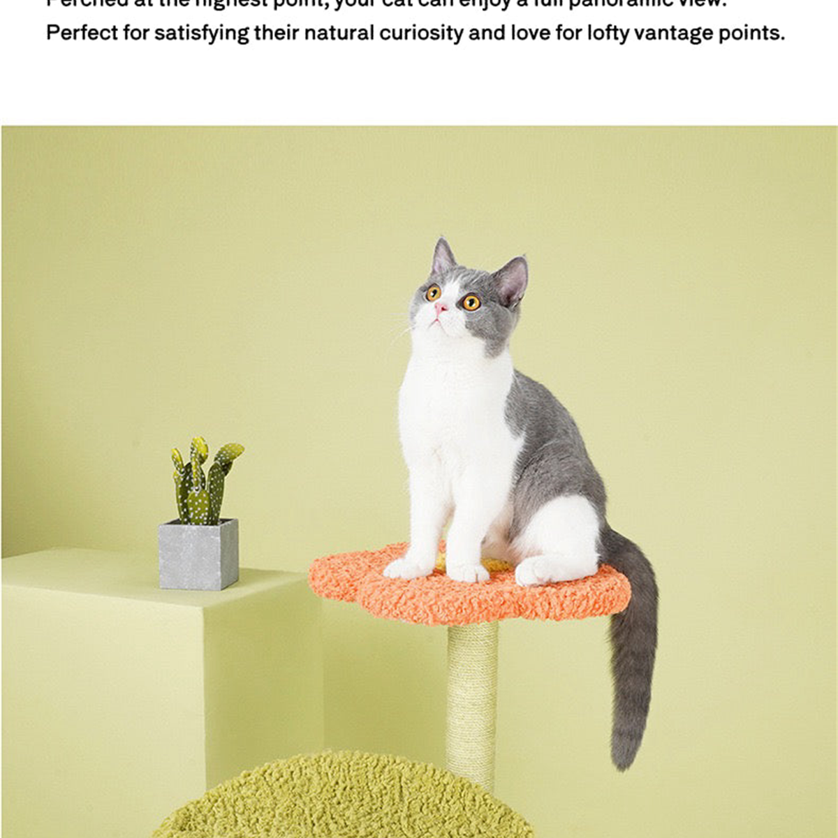 SUPERSEDED | Revised | ZEZE Aidola Flower House Cat Tree | gallery image 08 | square source text preserved