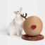 VETRESKA REINDEER CAT SCRATCHING BALL | effective 1:1 correction | source image 11 | FULL_FRAME_OUTPAINT v1
