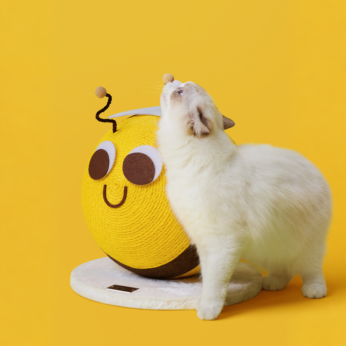 VETRESKA Bee Cat Scratching Ball | effective 1:1 correction | source image 08 | FULL_FRAME_OUTPAINT v3