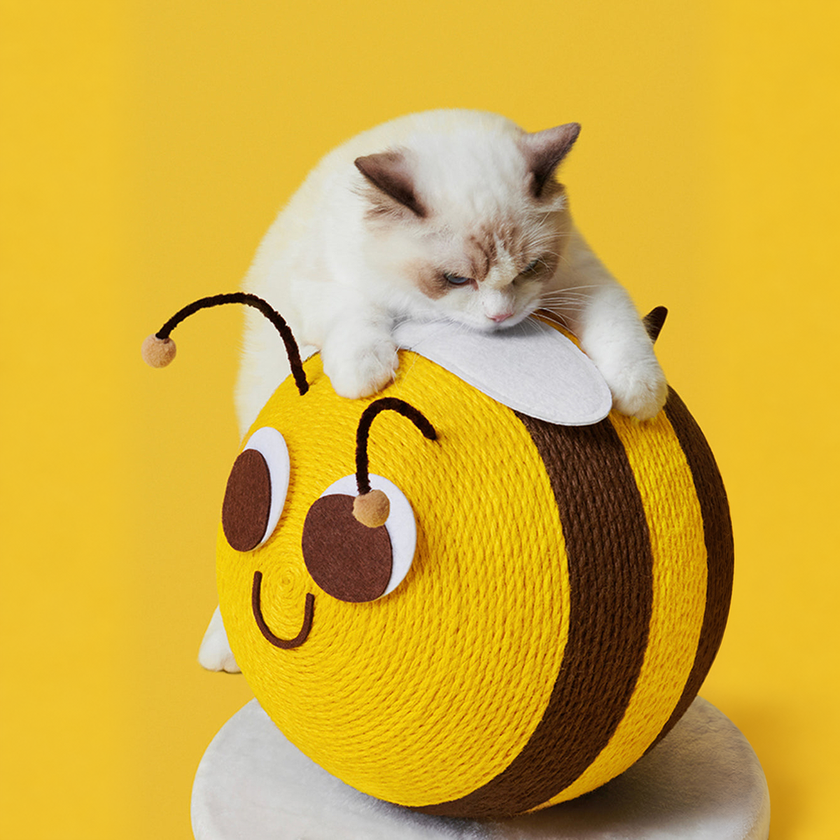 VETRESKA Bee Cat Scratching Ball | effective 1:1 correction | source image 10 | FULL_FRAME_OUTPAINT v3