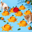 VETRESKA Cat Food Bowl Dog Water Feeding Bowl Dishes Non-Slip Mat Medium Small Dog Juicy Tangerine | shared lifestyle scene | Orange + Cherry | FULL_FRAME_OUTPAINT