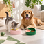 VETRESKA Like A Watermelon / Grapefruit Ceramic Bowl For Cats & Dogs | shared lifestyle scene | Watermelon + Grapefruit | FULL_FRAME_OUTPAINT