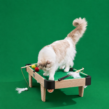 Scene | VETRESKA Meownooker Cat Toy Set | square multi-variant lifestyle image