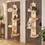 Scene | Destiny Pet Door-Mounted Cat Climber | square multi-variant lifestyle image