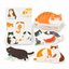 Cat-themed die-cut postcard set white-background SKU hero