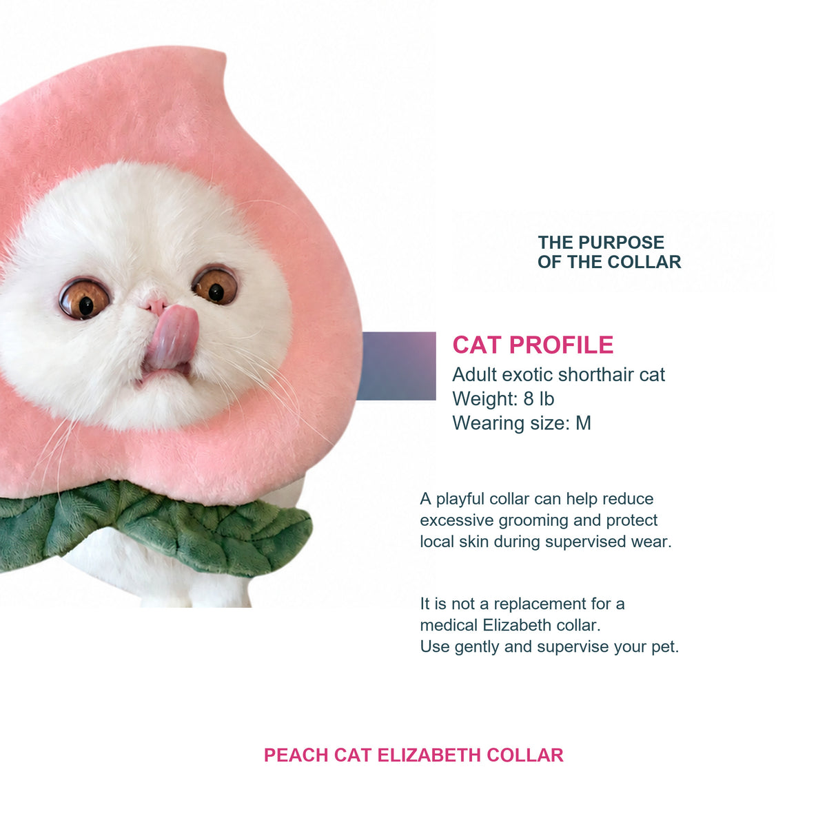 Bigger Fish peach cat Elizabeth collar - English corrected detail module 04 v10