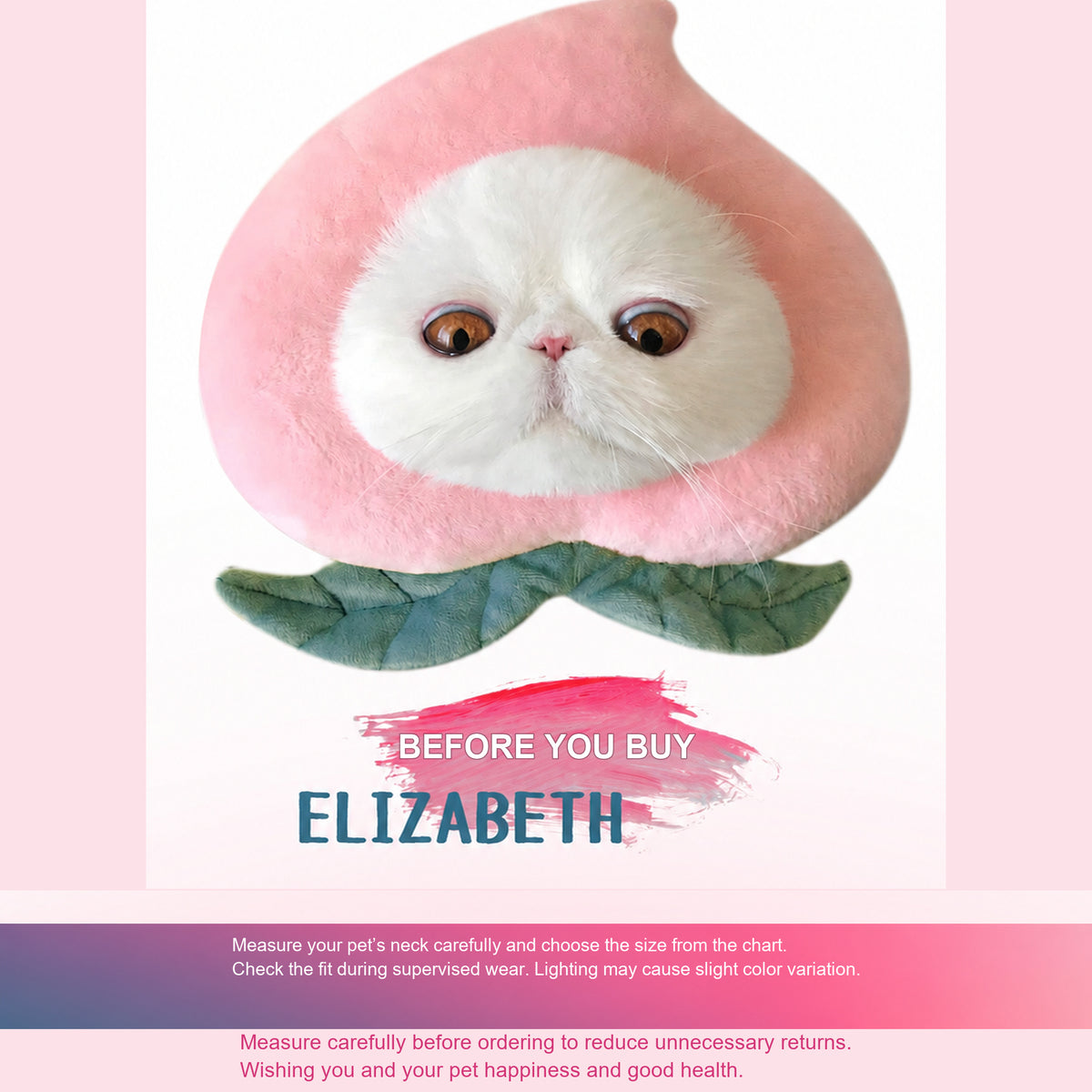 Bigger Fish peach cat Elizabeth collar - English corrected detail module 06 v10