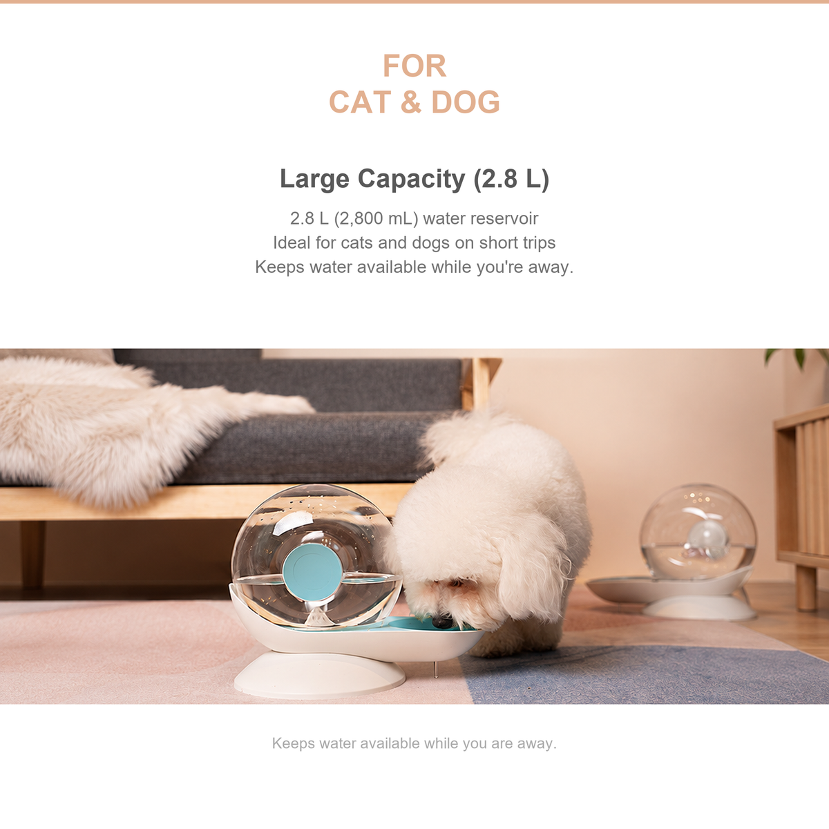 2.8 L snail-shaped automatic pet water fountain for cats and dogs