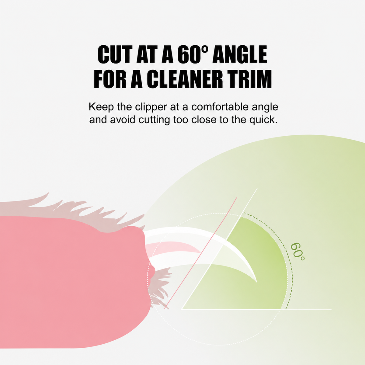 Banana Pet Nail Clipper translated detail module 04