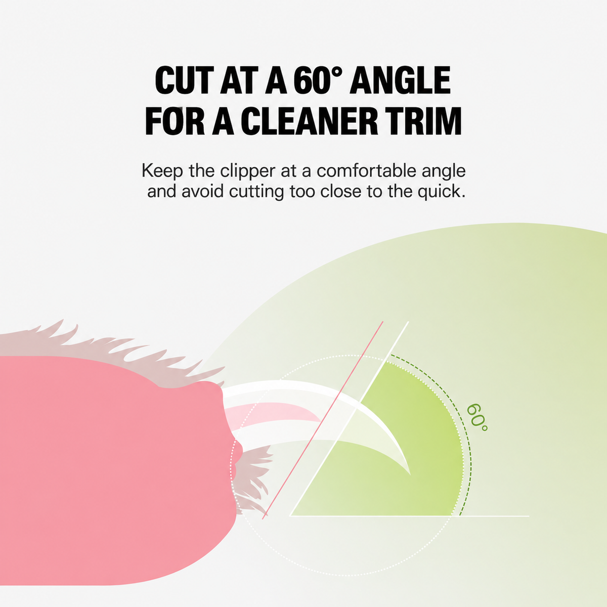 Cactus Pet Nail Clipper translated detail module 04