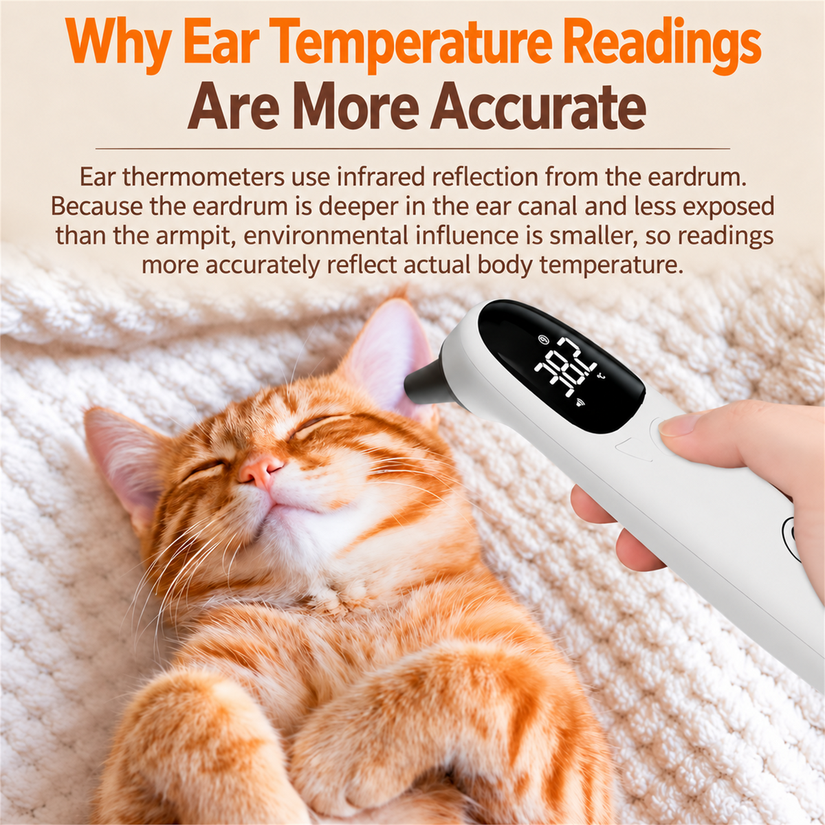 Why ear temperature readings are more accurate for pets