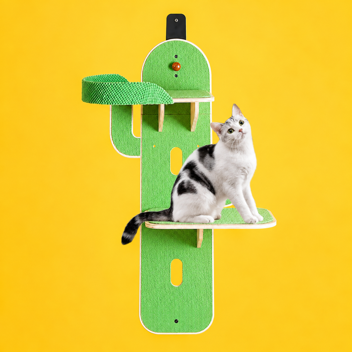 Corrected v3 | Destiny Pet Hanging Cactus Cat Tree | source image 06 | OUTPAINT | content complete