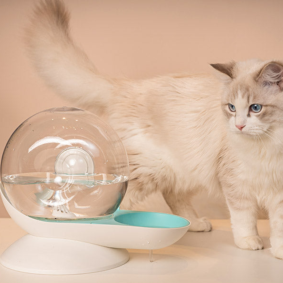 Cat using a snail-shaped automatic pet water fountain