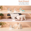 Snail-shaped automatic pet water fountain with cat and dog use scenes
