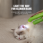 Cactus Pet Nail Clipper translated detail module 08