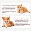 Normal cat and dog temperature ranges