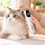 Cat using an infrared pet ear thermometer during a calm home temperature check