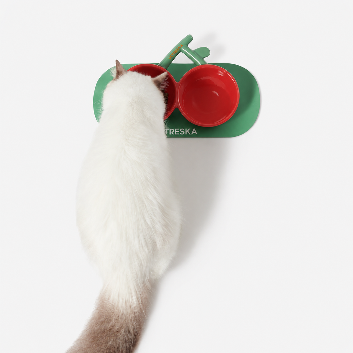 VETRESKA CHERRY CERAMIC PET BOWL-PD | source media 28492538249378 | content-safe square revision | FULL_FRAME_OUTPAINT | textLayer=not-applicable | backgroundMode=scene-outpaint | 20260920-v1