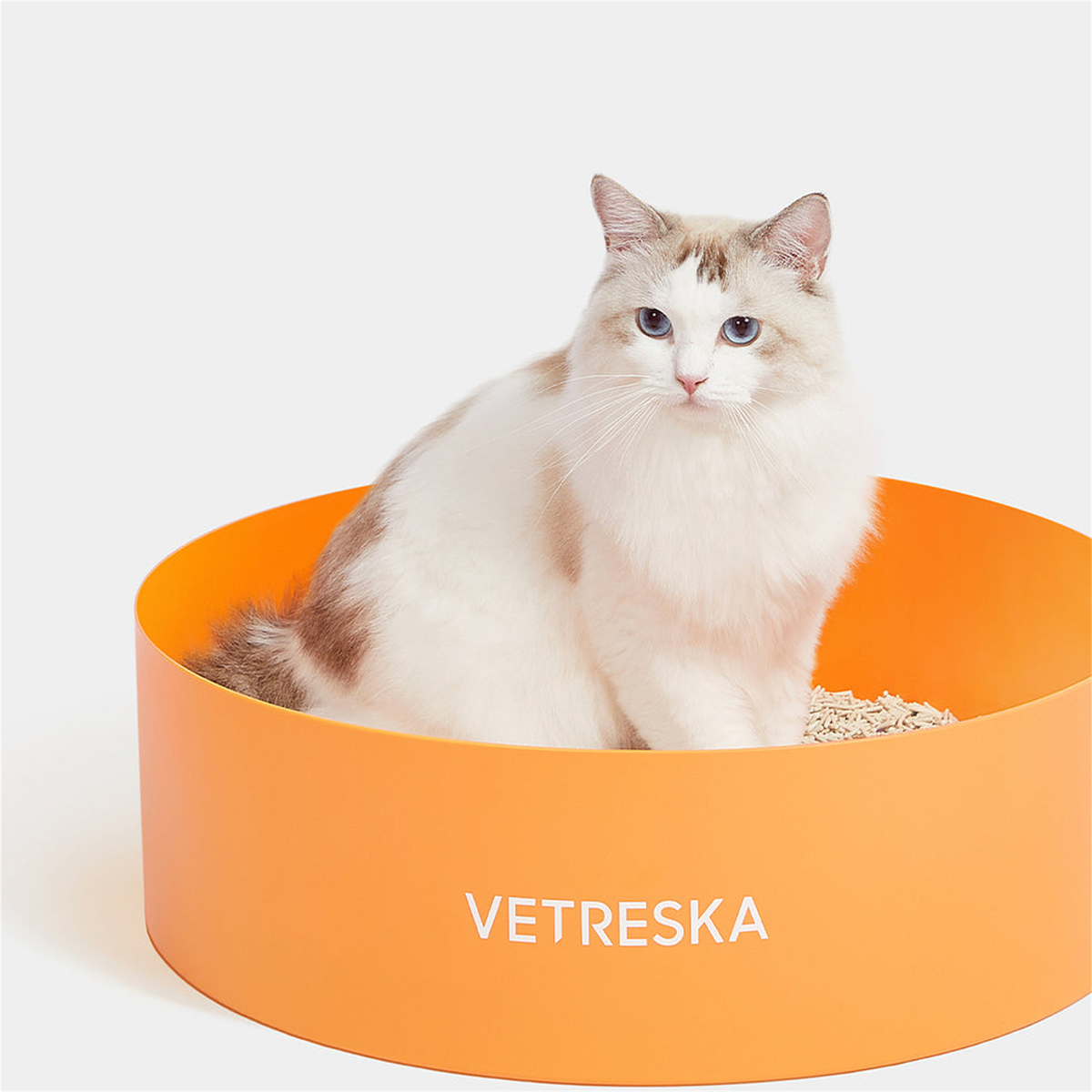 VETRESKA Tangerine Cat Litter Box - cat using the open-top litter box [Gallery: Shared]