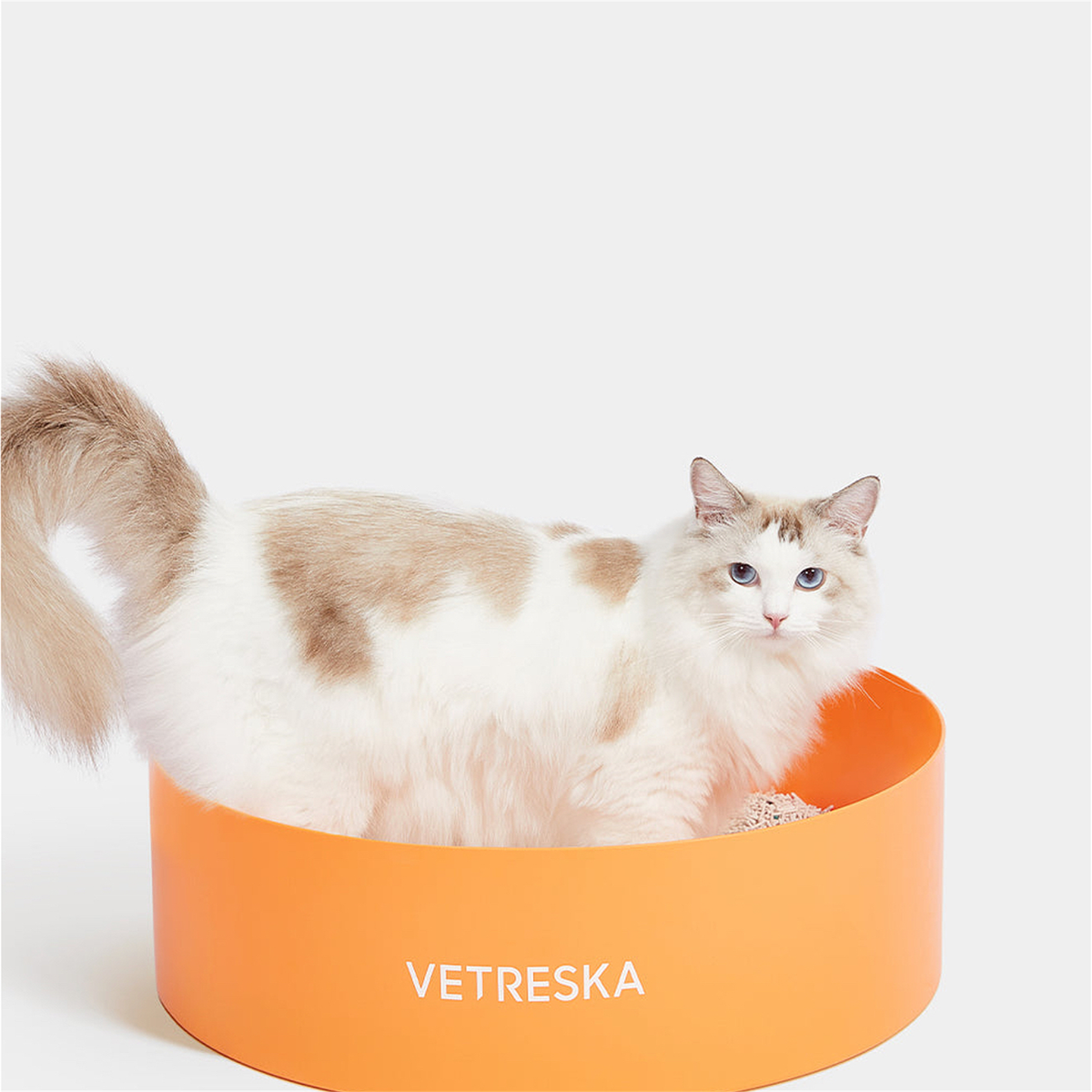 VETRESKA Tangerine Cat Litter Box - cat beside the tangerine litter box [Gallery: Shared]