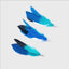 Pidan Cat teaser refill Feather type A2 - Destiny Pet
