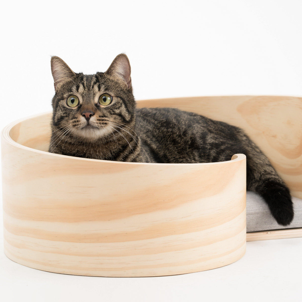 Pidan Pet bed Cat’s bed Spiral type - Destiny Pet