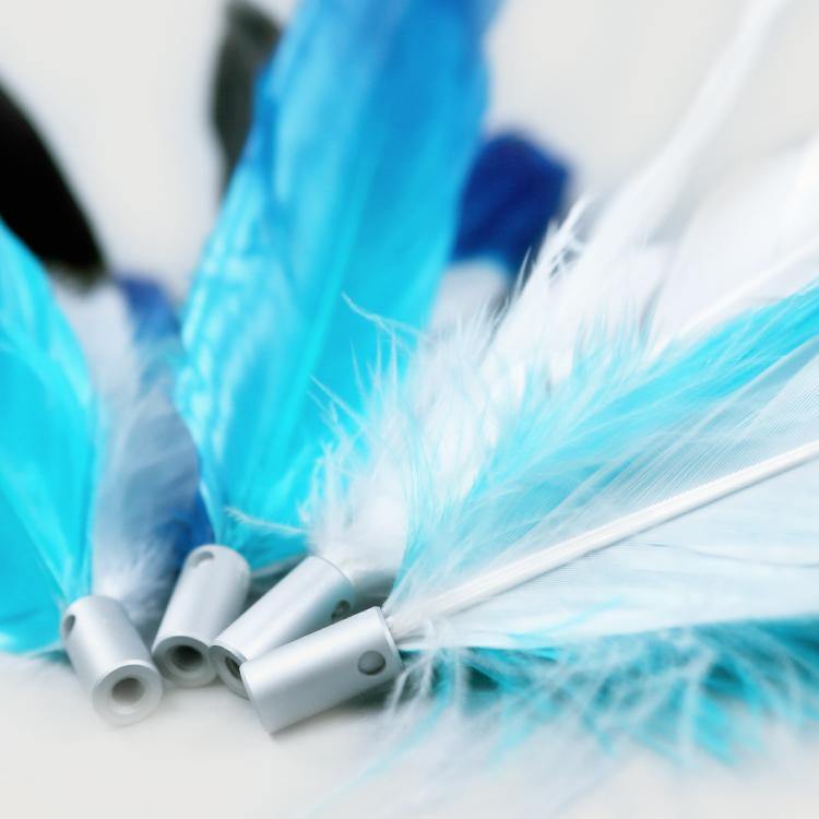 Pidan Cat teaser refill Feather type A2 - Destiny Pet