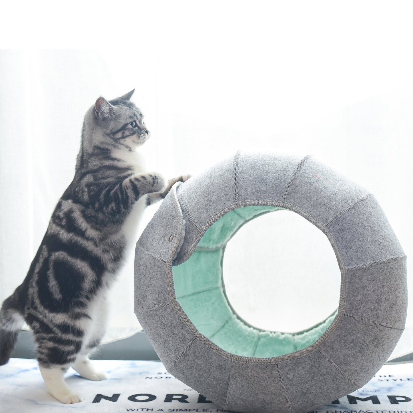 K.1 D.Ball Cat Bed Fun Nest Foldable Transformable Washable Scratch Resistant Cat Cave龙珠 - Destiny Pet
