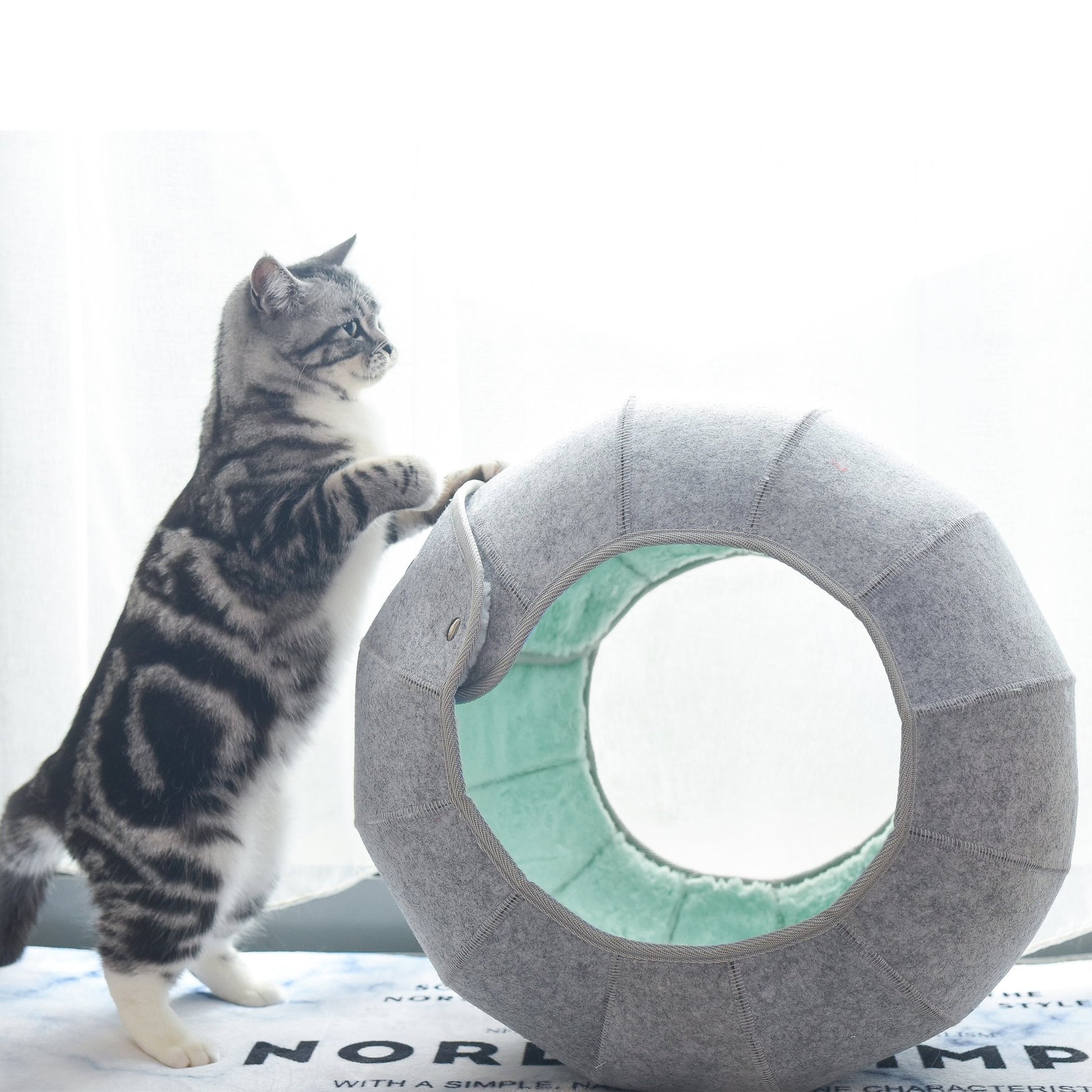K.1 D.Ball Cat Bed Fun Nest Foldable Transformable Washable Scratch Resistant Cat Cave龙珠 - Destiny Pet