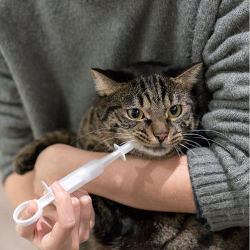 Pidan Pet pill / tablet syringe Syringe type - Destiny Pet