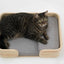 Pidan Pet bed Cat’s bed Rectangular type - Destiny Pet