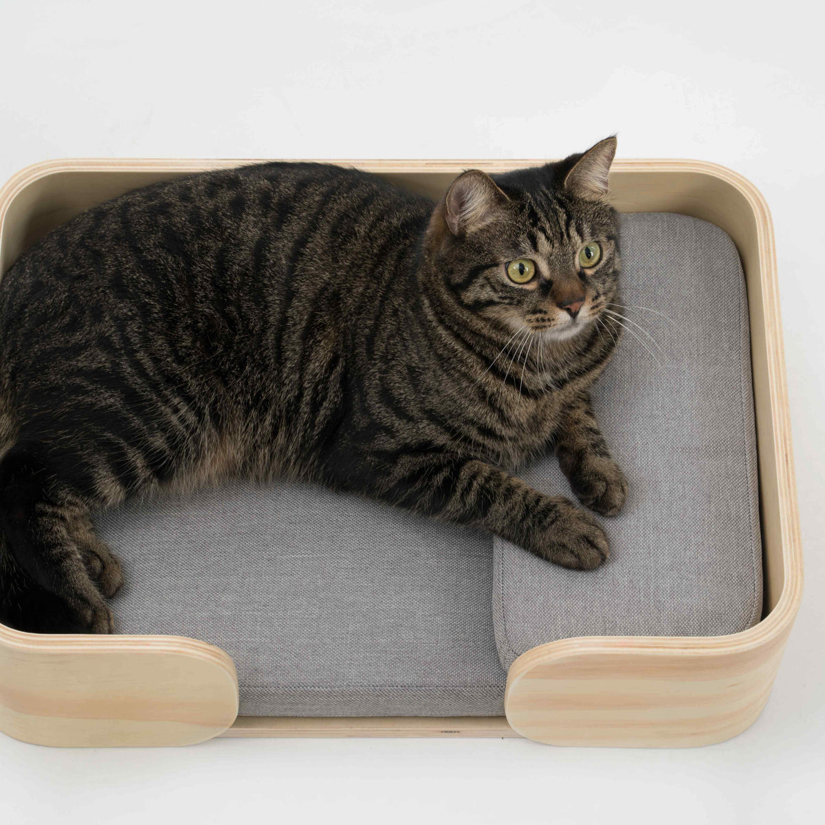 Pidan Pet bed Cat’s bed Rectangular type - Destiny Pet