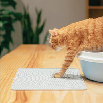 Cat stepping onto a Pidan silicone litter mat beside a litter box