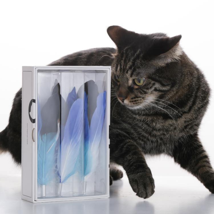 Pidan Cat teaser refill Feather type A2 - Destiny Pet