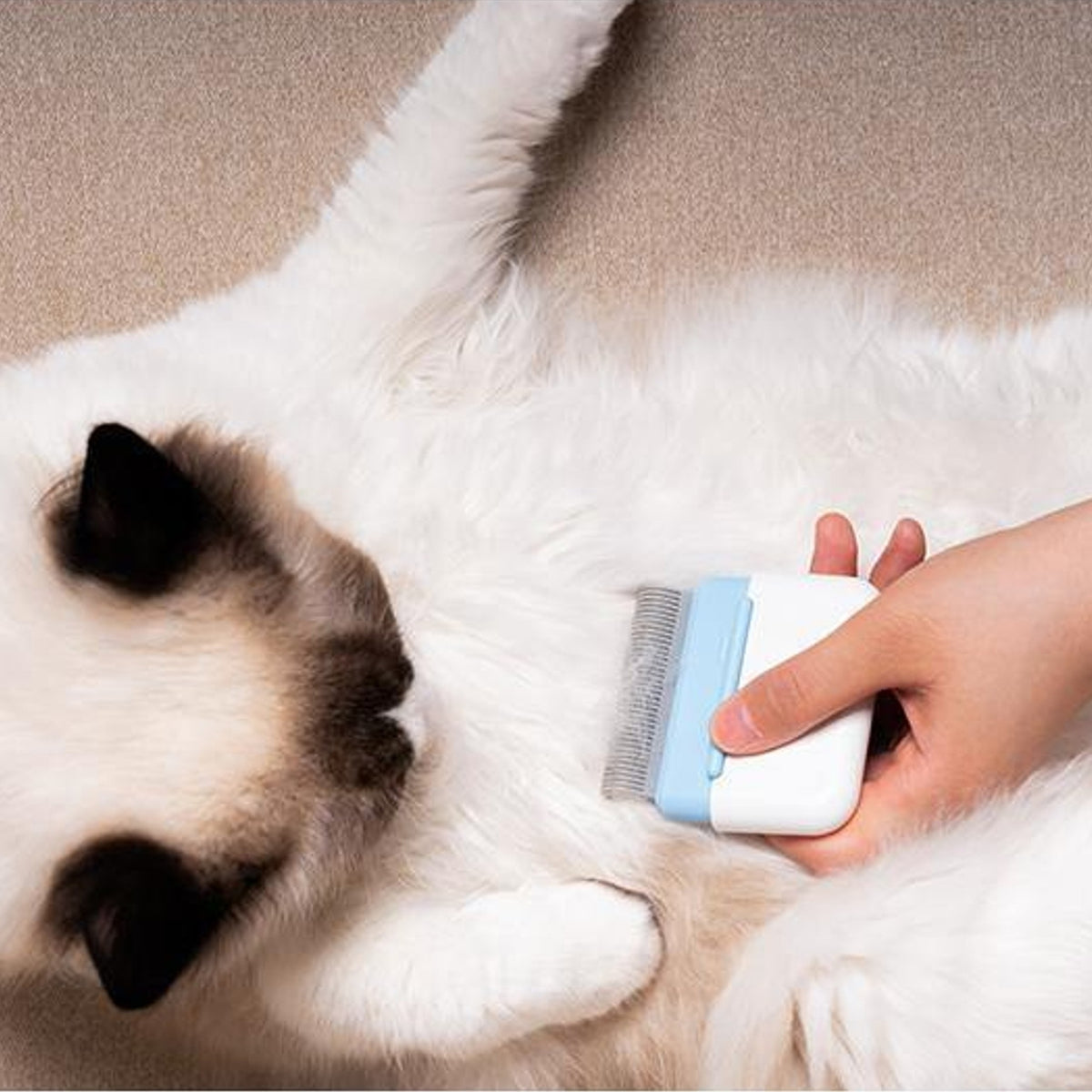 Aiwo Double-Sided Pocket Cat Comb used for gentle cat grooming [Gallery: Shared]