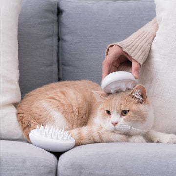 Pidan Silicone Cat Massage Brush – Mountain and Peak Styles detail image 2 [Gallery: Shared]