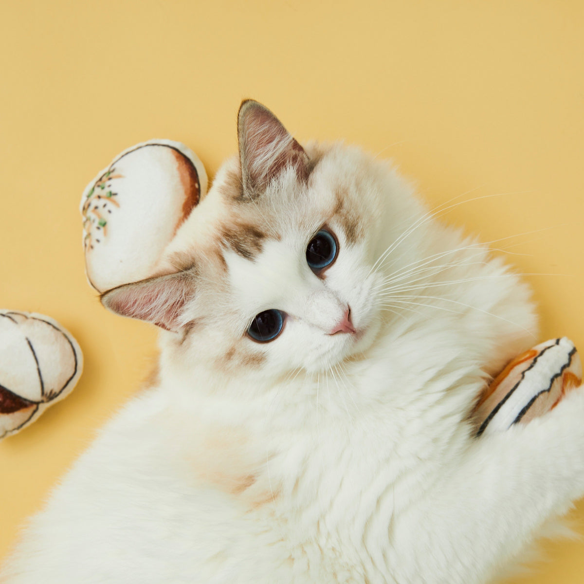 Cat resting with Vetreska Chinese dim sum plush cat toys