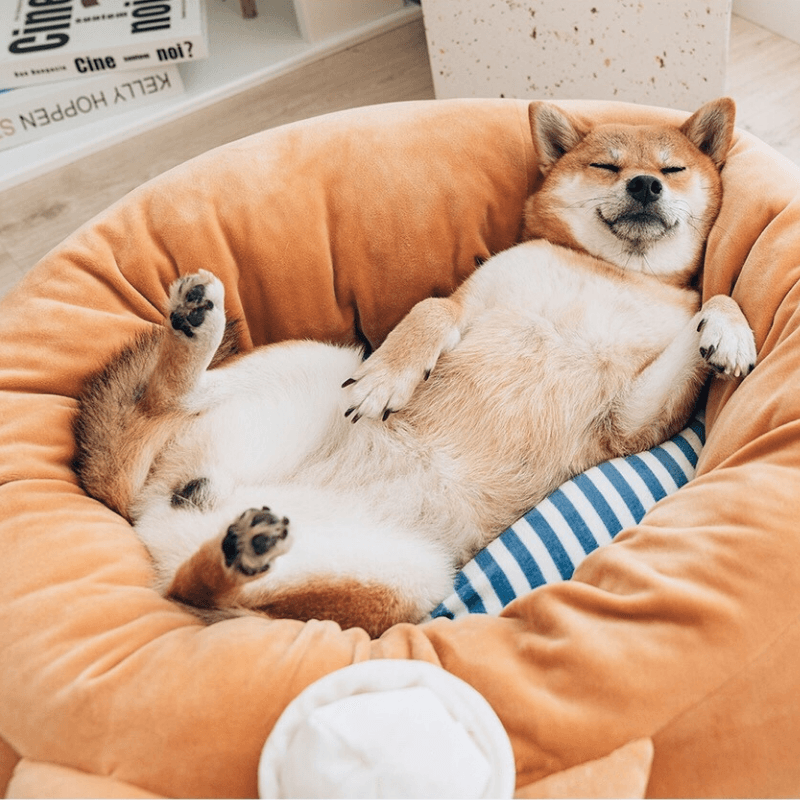 Fukufuku Navy Shiba Round Pet Bed product detail image 4