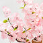 Vetreska Sakura Cat Tree 樱花树猫抓柱爬架 - Destiny Pet