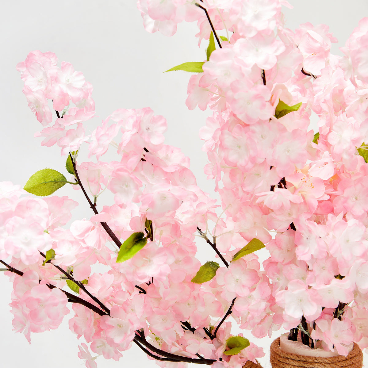 Vetreska Sakura Cat Tree 樱花树猫抓柱爬架 - Destiny Pet
