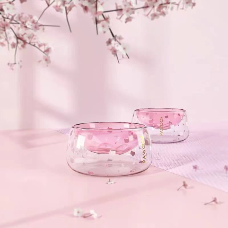 Pawoof double-layer glass cat bowl used in a feeding scene
