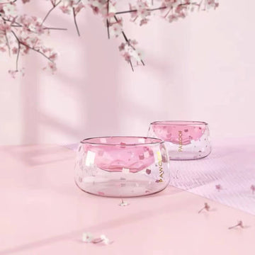 Pawoof double-layer glass cat bowl used in a feeding scene