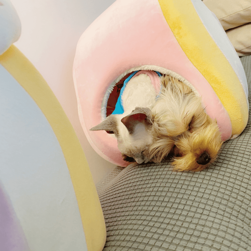 Fukufuku Rainbow Cat Bed product detail image 8